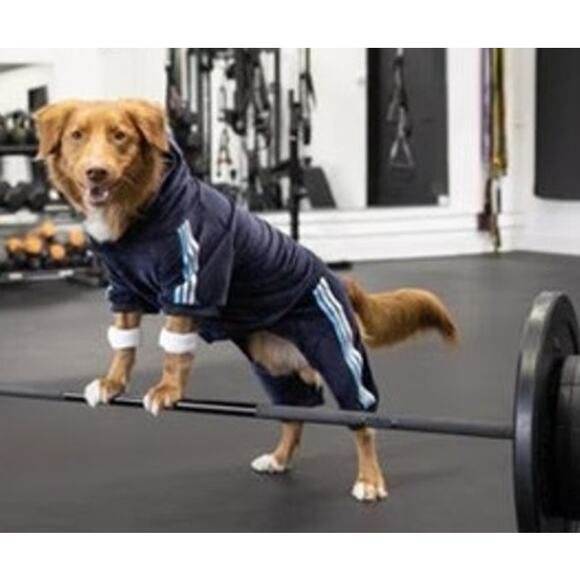 FabDog Navy Blue Striped Imitation Tracksuit Pet Clothing - Picture 2 of 3